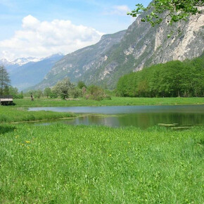 Das Biotop Fontanazzo