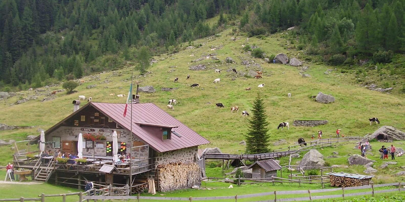 Piccolo Museo della Guerra alla Baita Monte Cauriol #2