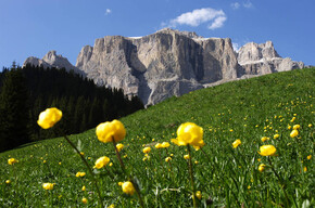 Dolomiti orientali