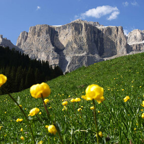 Dolomiti orientali