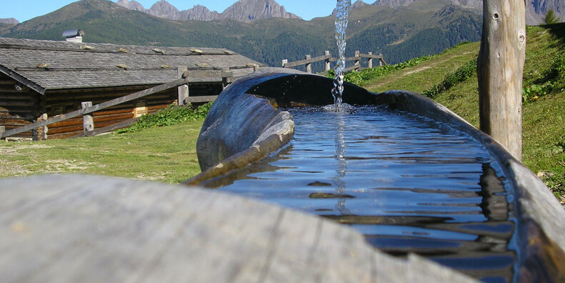  Ecomuseo del Vanoi  #2