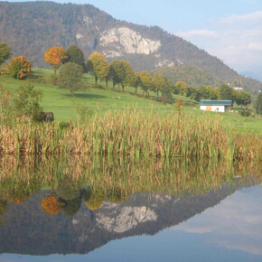 Das Ökomuseum des Tesino - der Heimat der fliegenden Händler