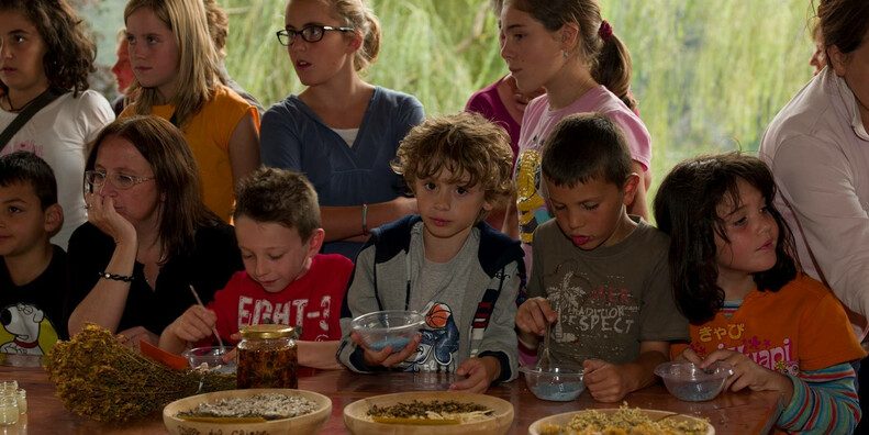 Ecomuseo della Valle del Chiese  #2