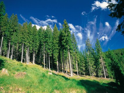 Natürliche Orte zu besuchen, in der Nähe von Val di Fiemme