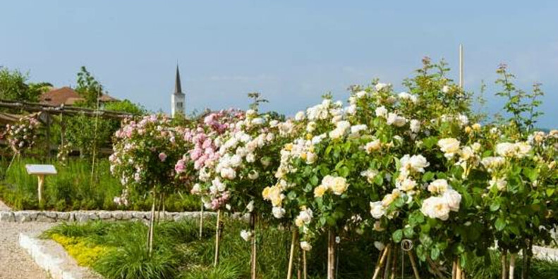 The "Giardino della Rosa" (Rose Garden) in Ronzone