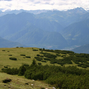 Val di Non - Monte Roen