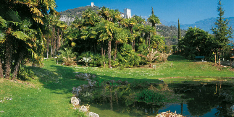 Parco Arciducale Arboreto  #1