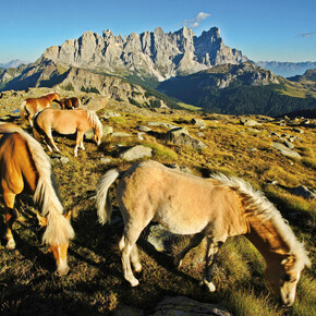 Přírodní park Paneveggio - Pale di San Martino