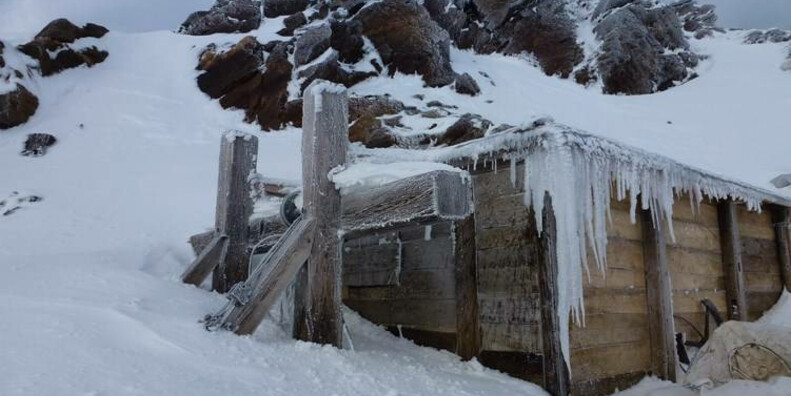 Punta Linke (m 3629 s.l.m.)  Ortles-Cevedale – Pejo #4