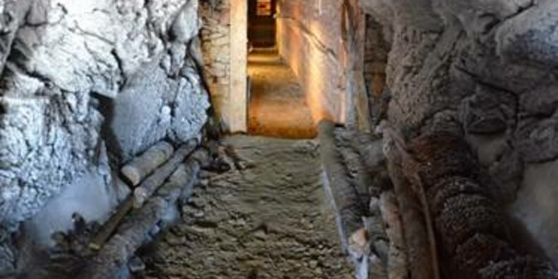 Punta Linke (m 3629 s.l.m.)  Ortles-Cevedale – Pejo #6