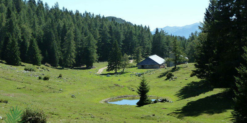 Riserva naturale della Scanuppia #1