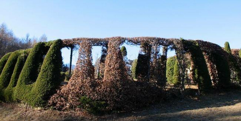  Roccolo del Sauch  #3