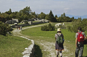 The Path of Peace