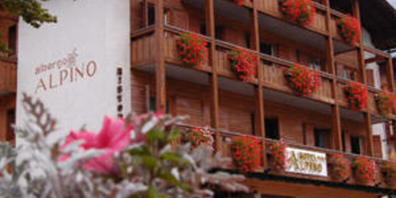 Hotel Alpino