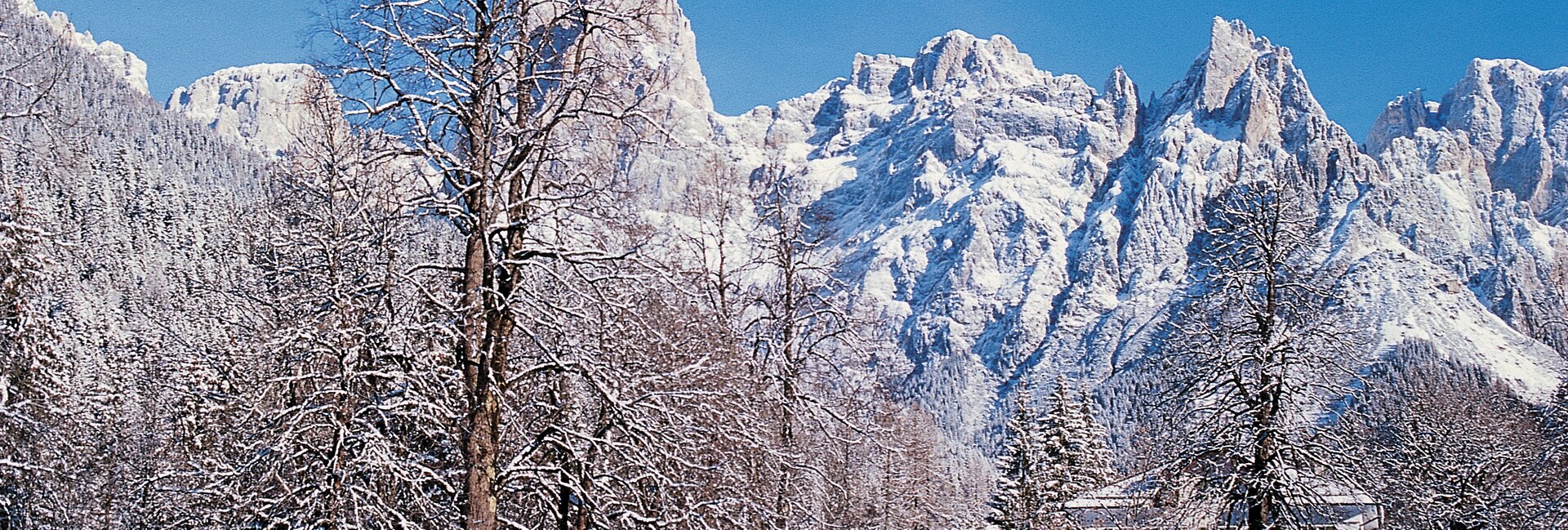 Villa Welsperg in Val Canali