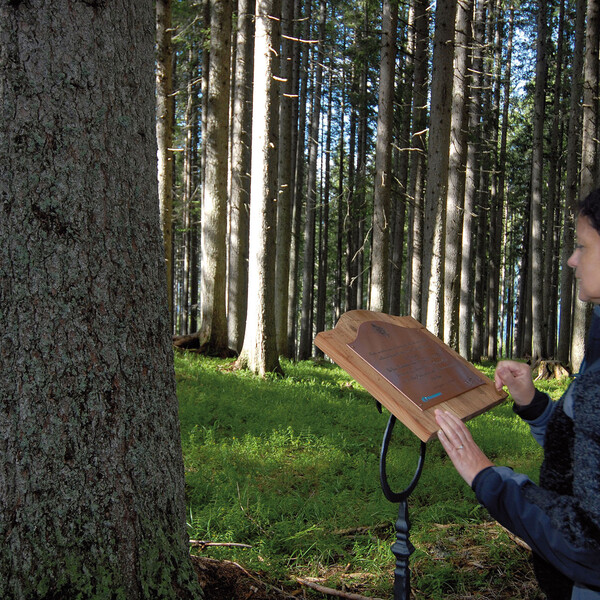 Val di Fiemme - Bosco che suona - Iva Bittova