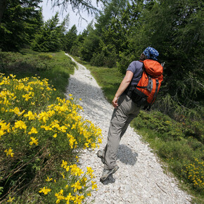 Altipiano di Folgaria, Lavarone e Luserna - Trekking