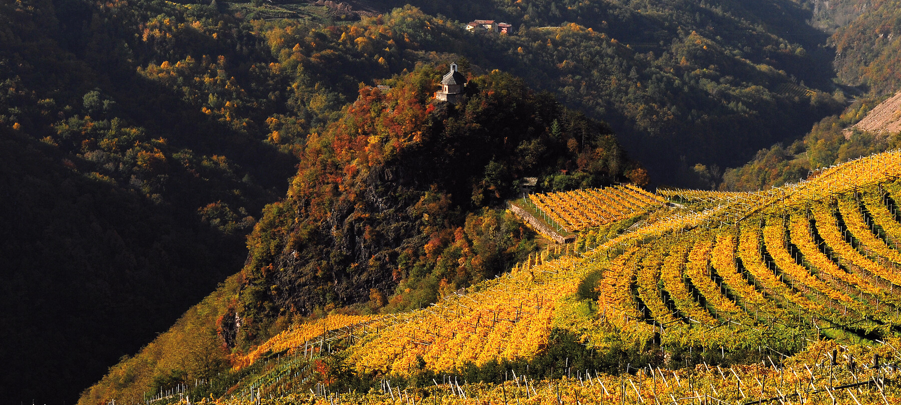 3 Days in Trentino: Exploring the Vineyards of Val di Cembra