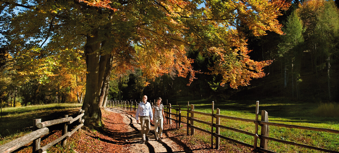 Góry już znacie. Czas wybrać się na leśny spacer