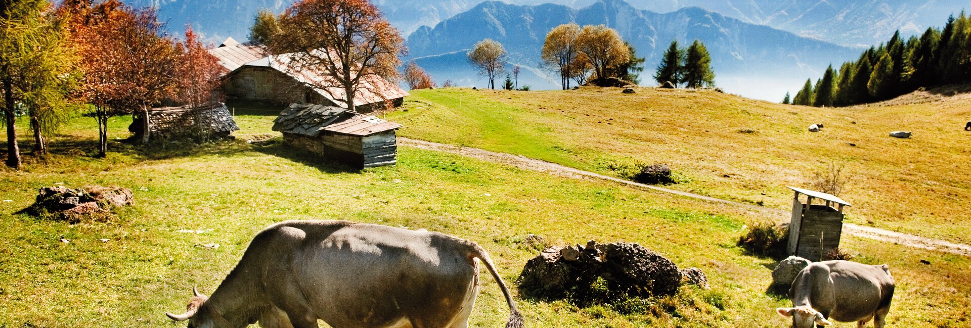 Valsugana, Lagorai, Vigolana i Valle dei Mocheni
