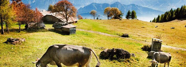 Valsugana, Lagorai, Vigolana i Valle dei Mocheni