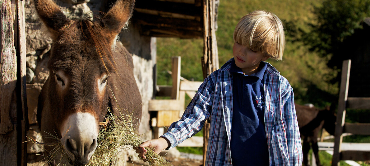 Familien sind willkommen im Trentino! Hier schlüpfen Kinder in die Rolle eines…