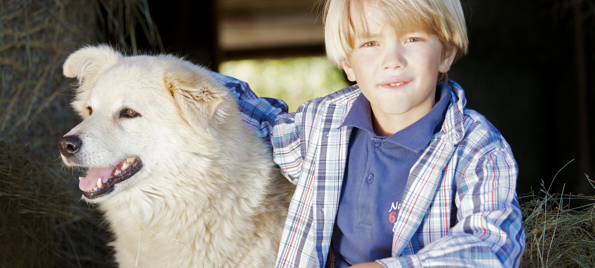 Valle dei Mocheni - Fierozzo - Agritur Klopf Hof - Bambino con cane