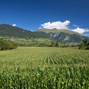 Alpi Ledrense i Judicaria: Biosfery UNESCO