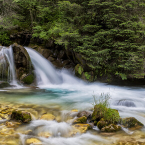 San Martino di Castrozza - Val Venegia - Torrente Travignolo