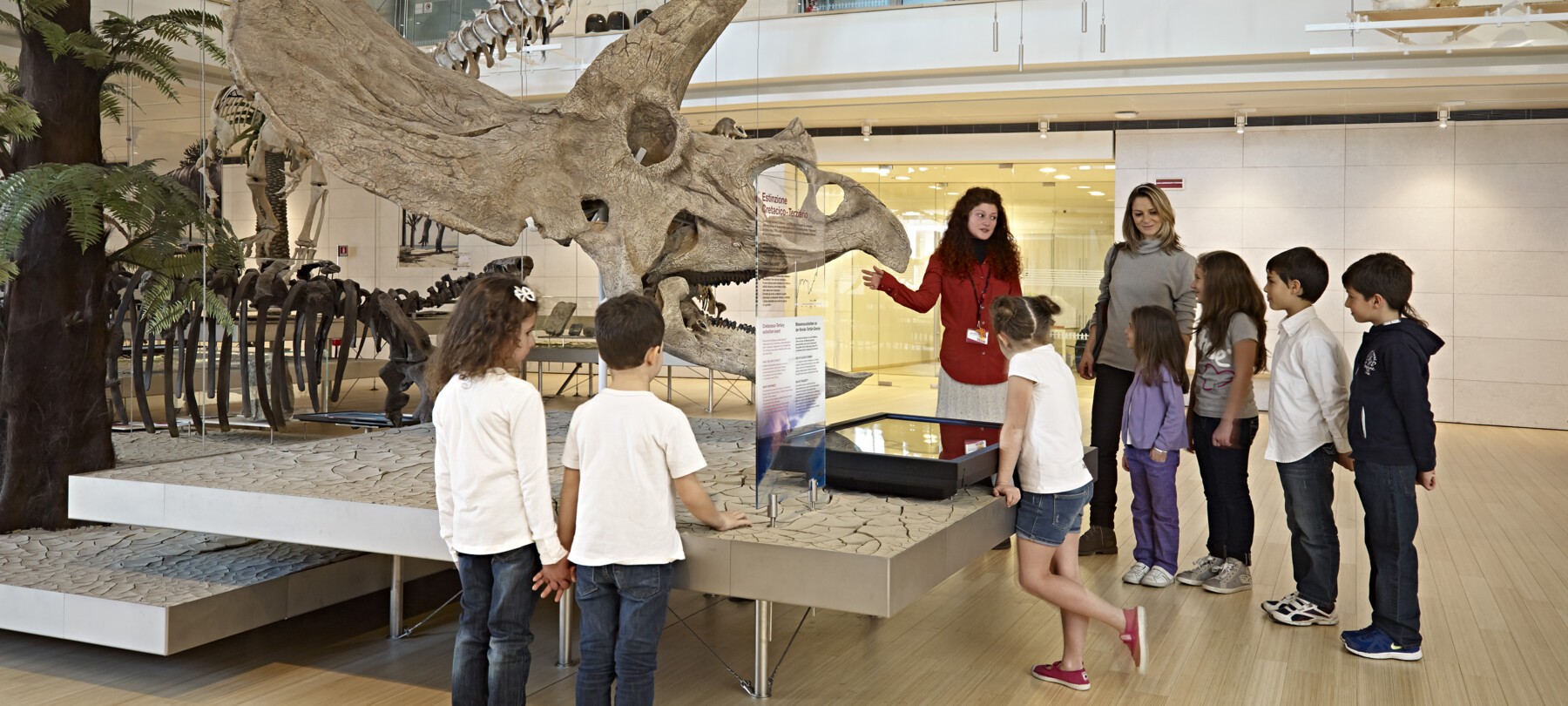 Dinosaurierfossilien in den Dolomiten 
