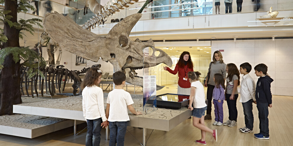 Auf den Spuren der Dinosaurier