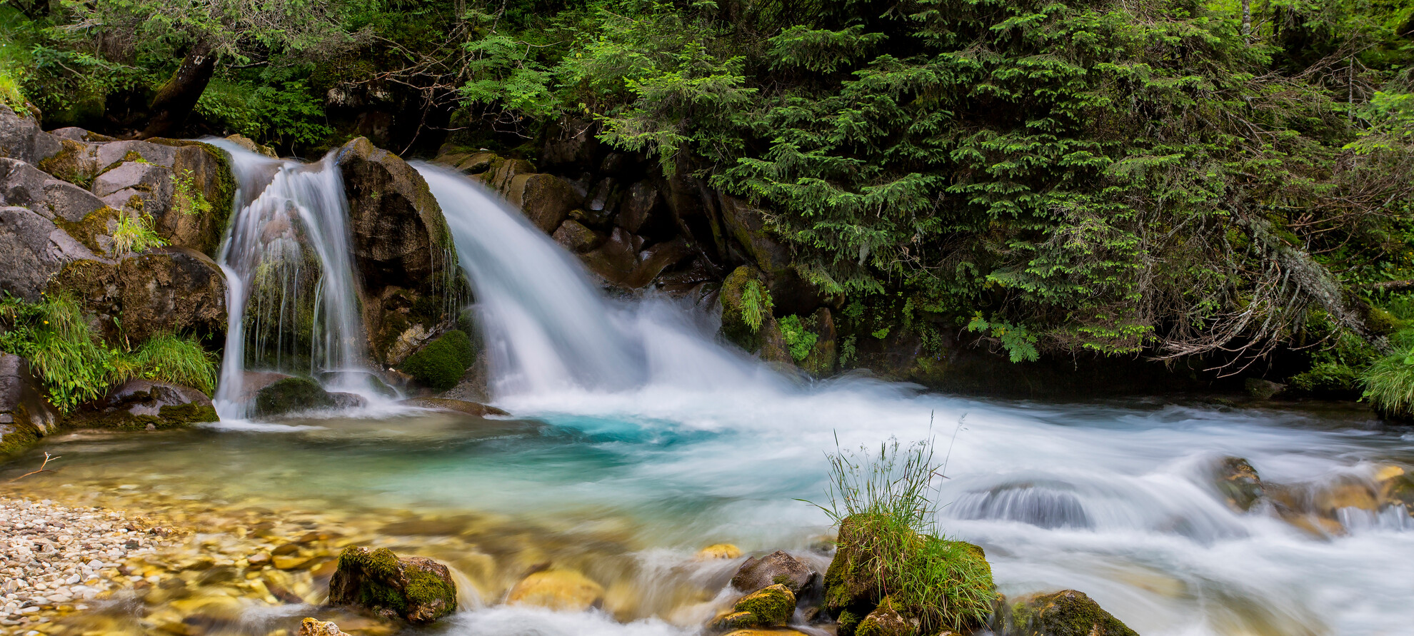 San Martino di Castrozza - Val Venegia - Torrente Travignolo