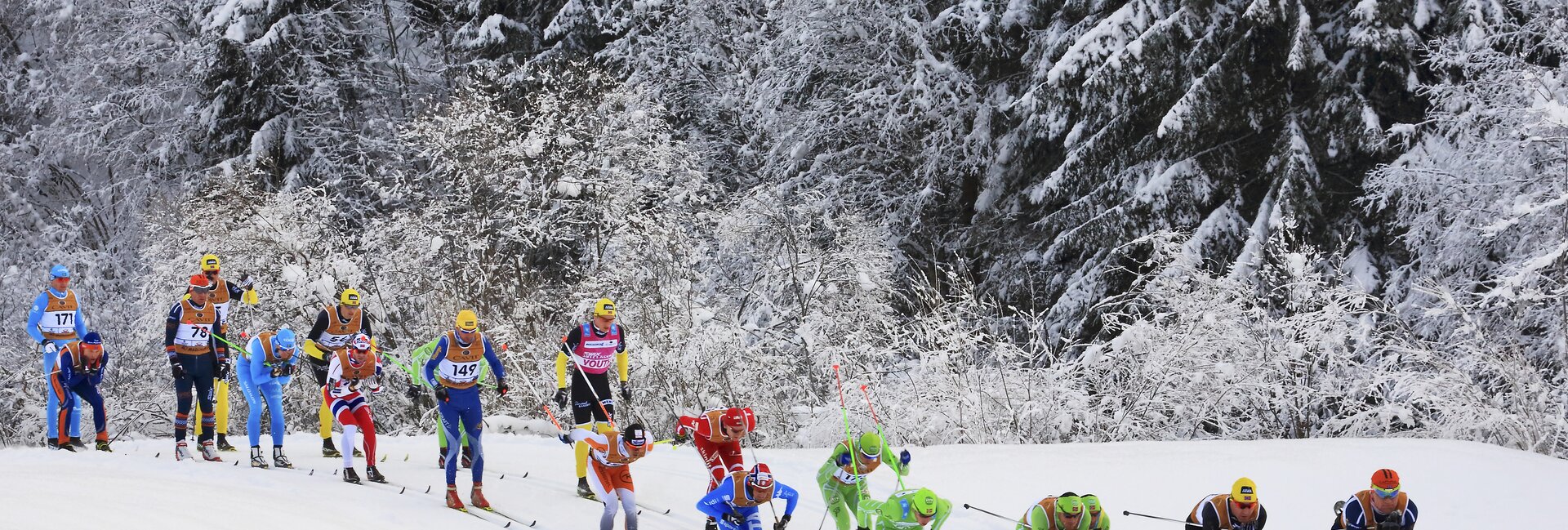 Валь-ди-Фасса