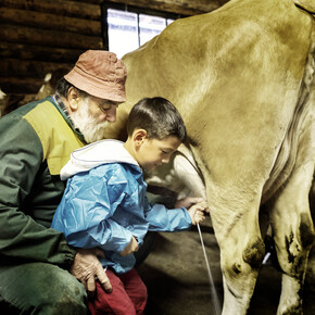 Boerderij Latte Ledro