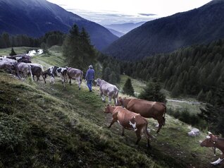Валь-ди-Нон