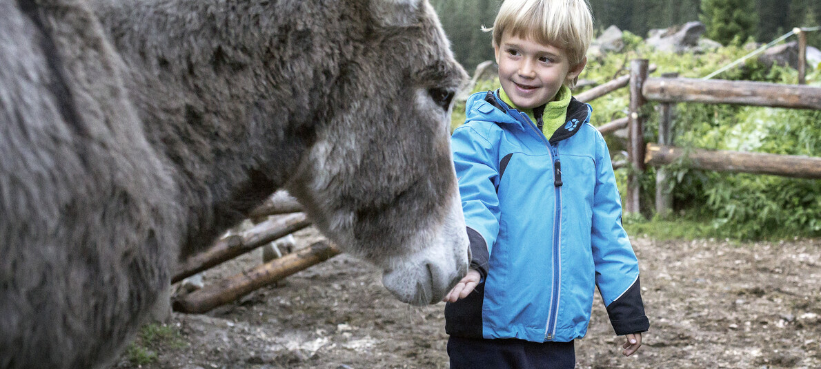 Met de kinderen op vakantie in de bergen? Dan moet je naar de Dolomieten!