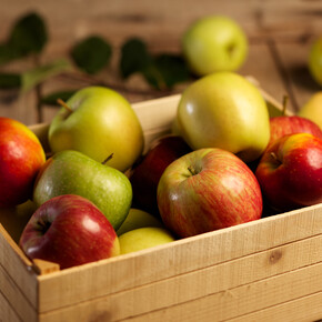 Äpfel aus dem Trentino