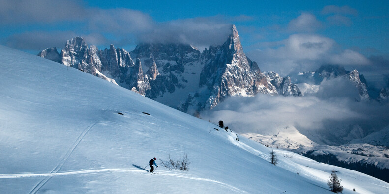 sciatori fuoripista a Bellamonte, con vista sulle Pale di San Martino
