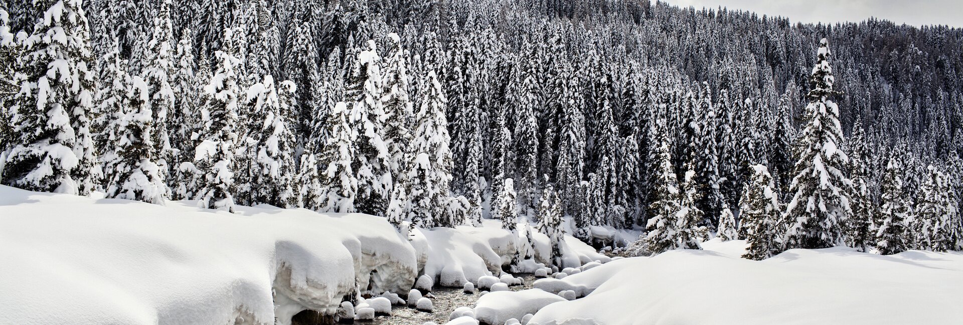 San Martino di Castrozza - Val Venegia - Torrente innevato