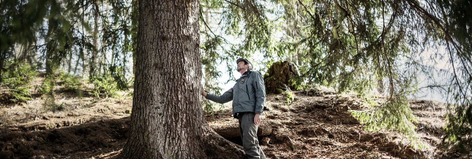 Val di Fiemme - Foresta di Paneveggio - Guardia parco - Forestale