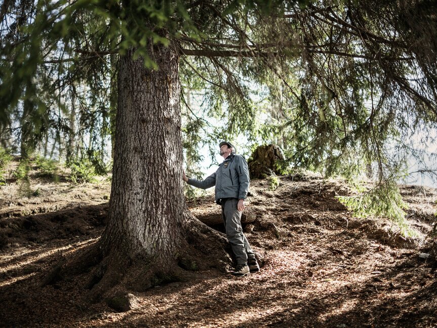 Val di Fiemme - Foresta di Paneveggio - Guardia parco - Forestale