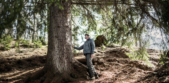 Der Naturpark Paneveggio-Pale di San Martino