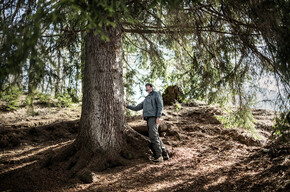 Der Naturpark Paneveggio-Pale di San Martino
