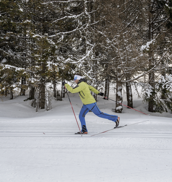 Mountains in winter #2