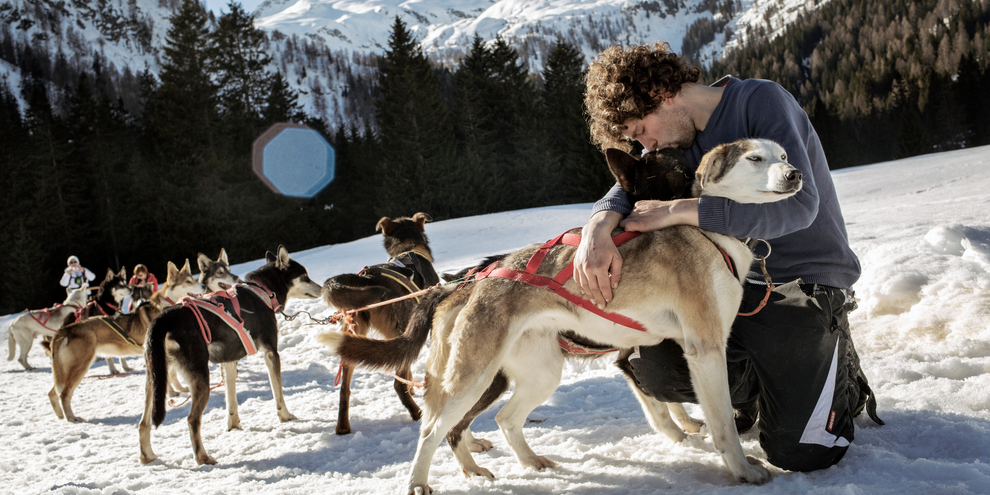 Dogsledding Athabaska - Madonna di Campiglio