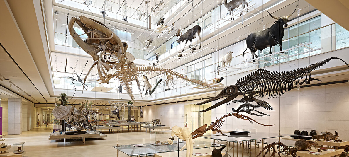 Trento wat te doen - Vergeet ook niet een bezoek te brengen aan het Museo delle Scienze