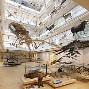 Gezinsuitje naar het museum 