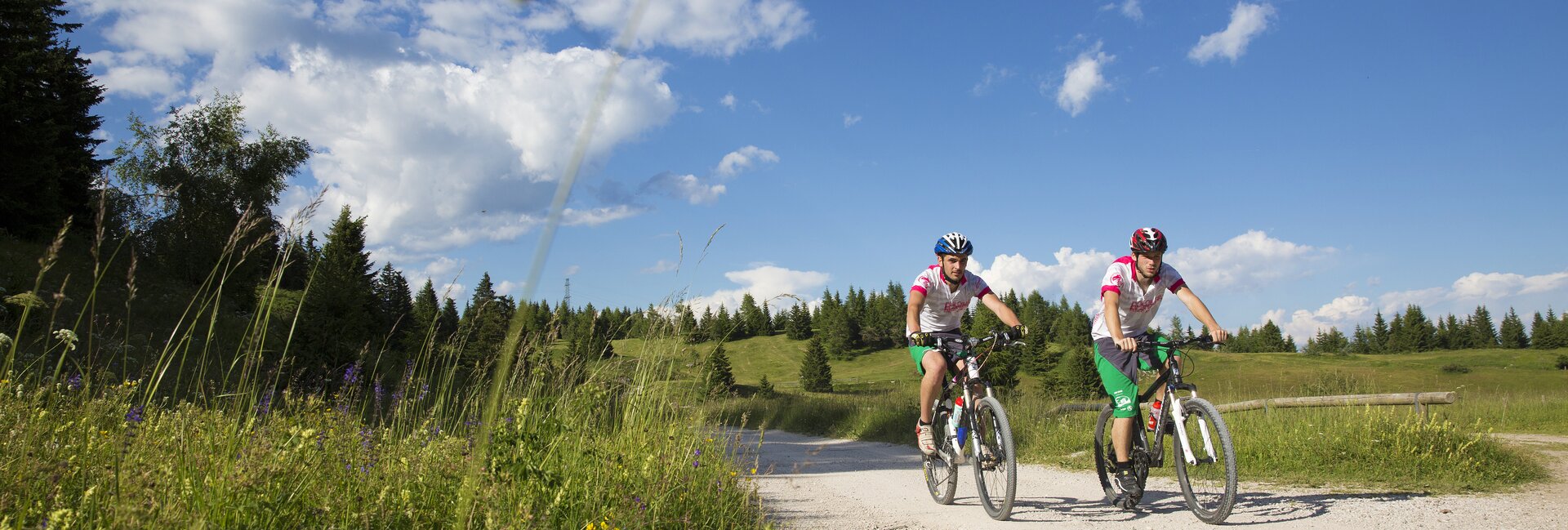 Валь-ди-Нон
