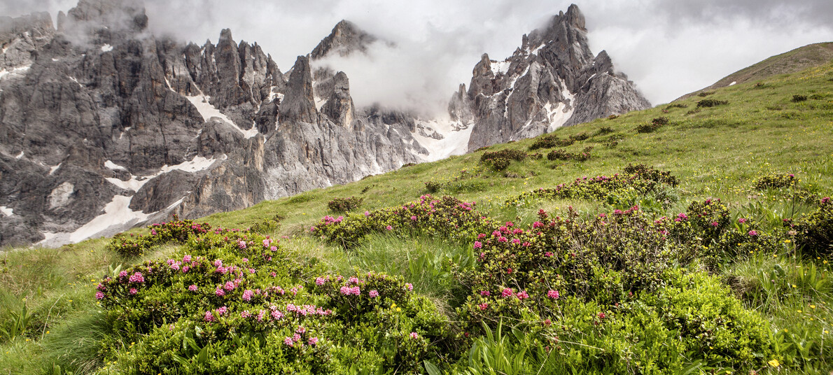 Lato w Dolomity