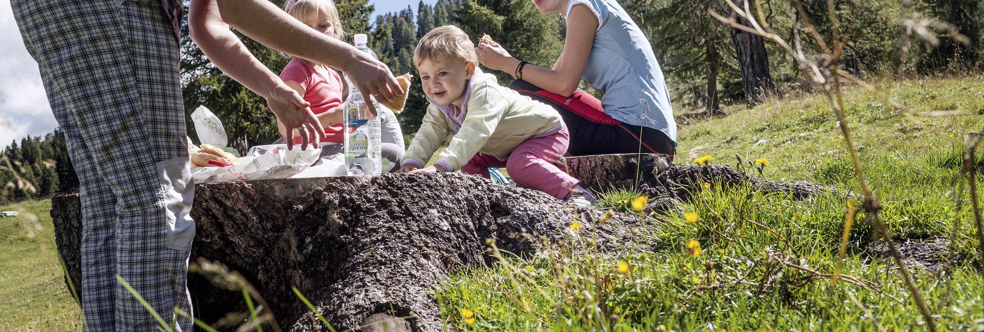 Валь-ди-Фасса 